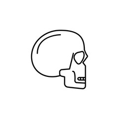 skull, head icon. Element of anti aging outline icon for mobile concept and web apps. Thin line skull, head icon can be used for web and mobile