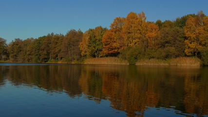 Fototapeta na wymiar Herbst in der Natur bei Sonnenschein