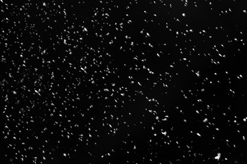 Snow flakes falling on black background. Winter weather