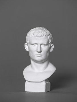 Agrippa plaster figure. for drawing.