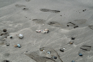 砂浜の足跡