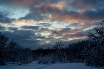 Sunset at forest in winter
