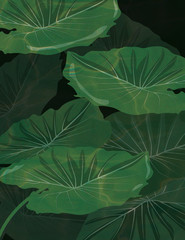  fern in river, green leaves