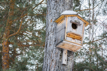 Special feeder with snow on roof for feeding birds, nailed on pine in forest.