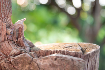 empty wooden on blurred nature backdrop. tree stump blank. can used for display or montage your products