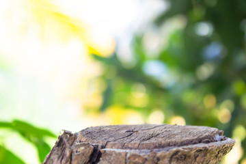 empty wooden on blurred nature backdrop. tree stump blank. can used for display or montage your products