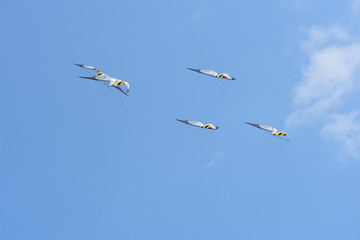 Synchronized Kite Dancing