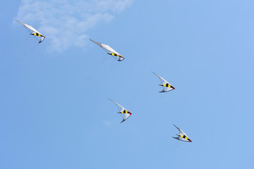 Synchronized Kites Flying