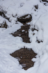 Stream in a magical winter forest on Christmas Eve, Altai, Russia