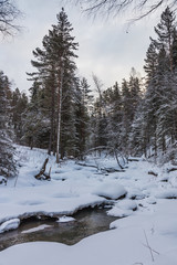 Beautiful magical winter forest on Christmas Eve, Altai, Russia