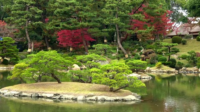 紅葉、日本庭園 / Japanese garden with autumn leaves, 4K