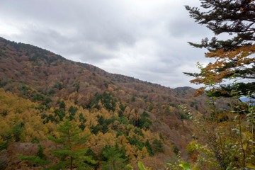 秋の山麓