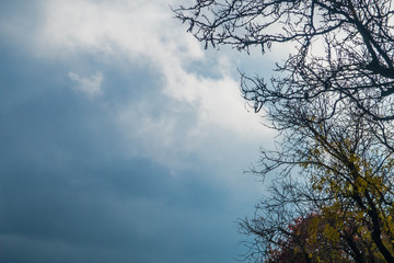 sky and clouds during the rain