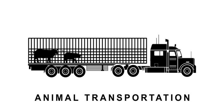 Detailed animal transporting truck illustration