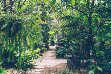 Tropical English garden style for home interior decoration.