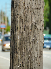Wooden pillar on a street in Vancouver. Street marketing. Place your ad for free. Place classifieds...