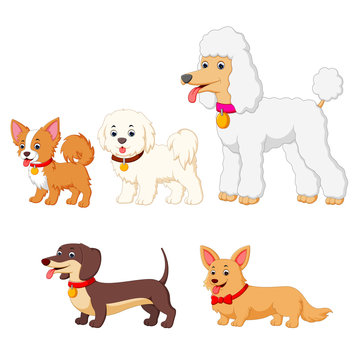 set collection of different kind of dogs