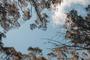 Looking out the canopy