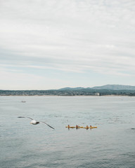 Family kayaking in the bay
