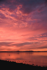 Pink Sunset of Sutro