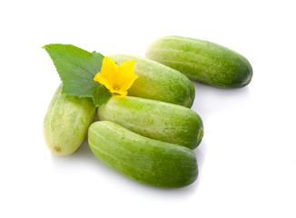 Fresh green cucumber with leaf and flower natural vegetables organic food isolated on white background.