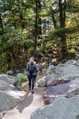 Obraz premium woman hiking on path in woods