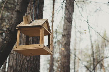 Feeders for birds