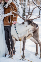 A deer stands next to the bride and groom
