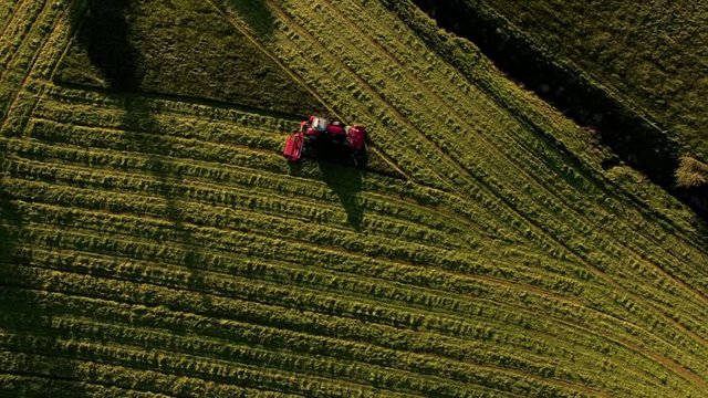 Aerial View Red Tractor Mowing Field at Sunset