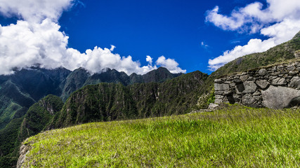 On the green terrace of Machu Picchu
