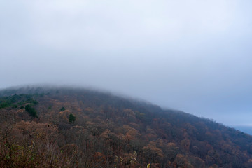 talimena peak