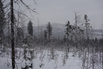 Nature Travel Landscape