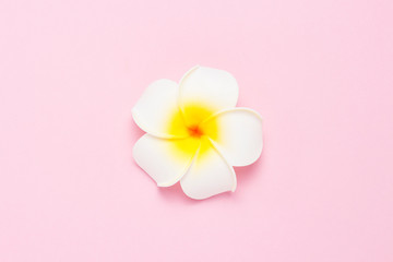 Fototapeta na wymiar Tropical flowers plumeria on a pink background. Concept spa, tropics, tourism. Flat lay, top view
