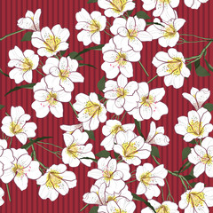 Vector Seamless Pattern Hand Drawn white garden flowers Artwork Isolated Red stripe for fashion fabric