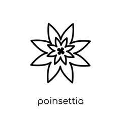 Poinsettia icon. Trendy modern flat linear vector Poinsettia icon on white background from thin line nature collection