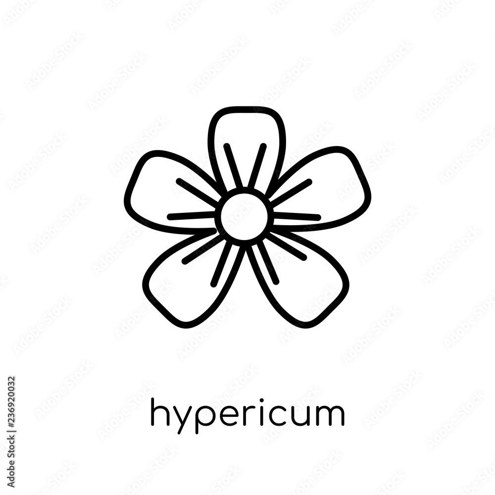 Poster hypericum icon. trendy modern flat linear vector hypericum icon on white background from thin line n