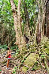Caribbean cruise ship excursion in tropical forest woman hiking in St Kitts island, tropical travel vacation destination. Girl walking on guided tour learning on nature with guide.