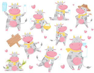 Fototapeta na wymiar Cute happy spotted cow in different situations set, funny smiling farm animal cartoon character vector Illustration on a white background