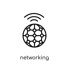 Networking icon. Trendy modern flat linear vector Networking icon on white background from thin line Internet Security and Networking collection