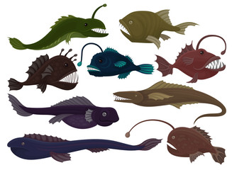 Flat vector set of different predatory fishes. Sea creatures. Marine animals. Underwater life theme