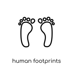 Human footprints icon. Trendy modern flat linear vector Human footprints icon on white background from thin line Human Body Parts collection