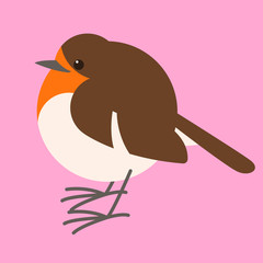 robin bird, vector illustration , flat style ,profile 