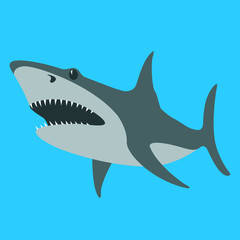 shark  vector illustration , flat style ,profile