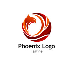 Creative Phoenix Logo Vector