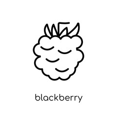 Blackberry icon from Fruit and vegetables collection.