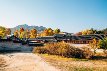 Gyeongbokgung Palace with autumn maple in Seoul, Korea