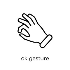 Ok gesture icon. Trendy modern flat linear vector Ok gesture icon on white background from thin line Hands and guestures collection