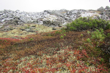 Nature Travel Landscape