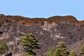 Volcano Etna in Sicily