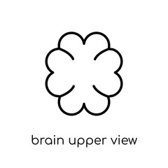 Brain upper view icon. Trendy modern flat linear vector Brain upper view icon on white background from thin line Human Body Parts collection